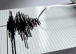 Землетрясение магнитудой 4,8 произошло на границе Казахстана и Китая